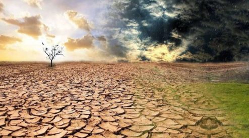 Європу охоплює посуха: як це вплине на врожай в Україні