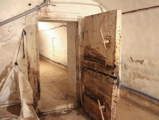 Ее закрыли на 20 лет в подвале: открыв двери, люди поседели