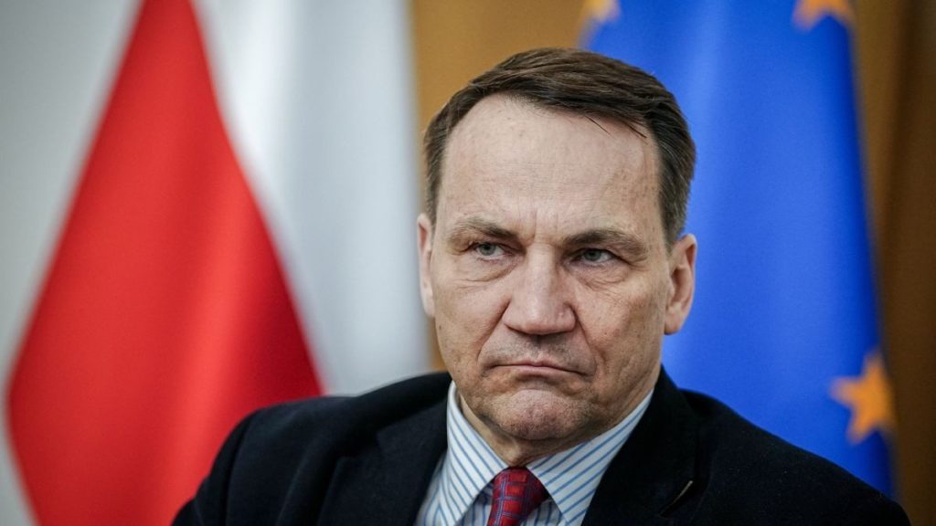 Сикорский сказал, что ЕС будет делать с Украиной без участия США