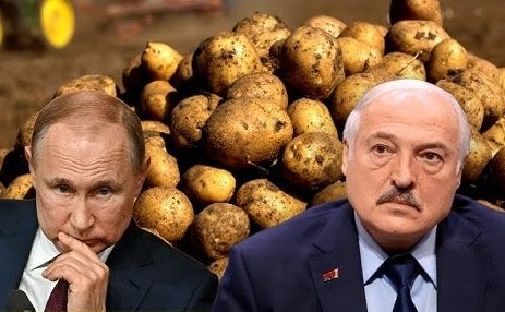 Путин попросил у Лукашенко картошки: ответ вас удивит