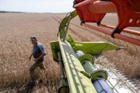 Новые расценки на землю в Украине: актуальная стоимость гектара