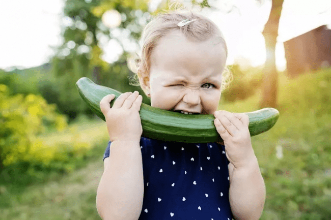 Почему огурцы — идеальный продукт для ежедневного рациона