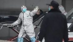 Опасный вирус с потенциалом вызова новой пандемии обнаружен учеными