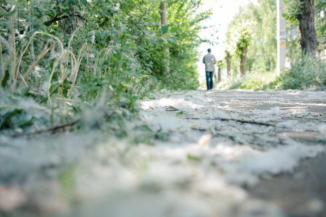 Одесу засипало незвичним “снігом” наприкінці травня