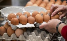 Ціни на яйця в Україні впали: актуальна вартість десятка