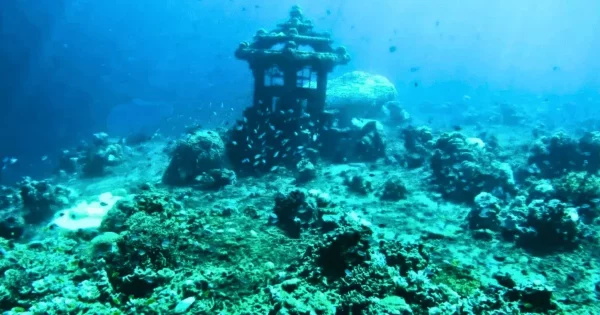 На дні моря біля Яви виявлені сліди затонулого світу віком 140 тисяч років